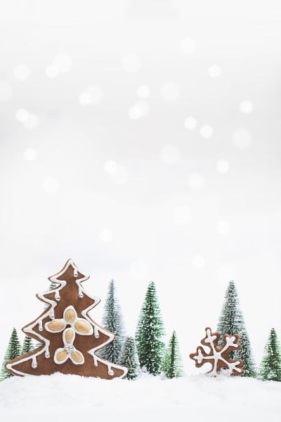 白雪冬天森林与姜饼圣诞树