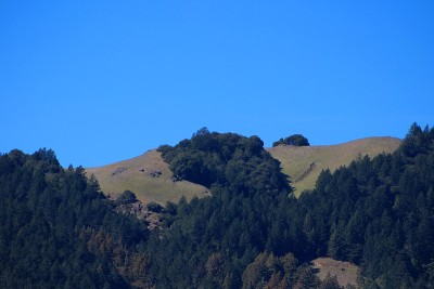 缪尔森林红杉-秃顶山景
