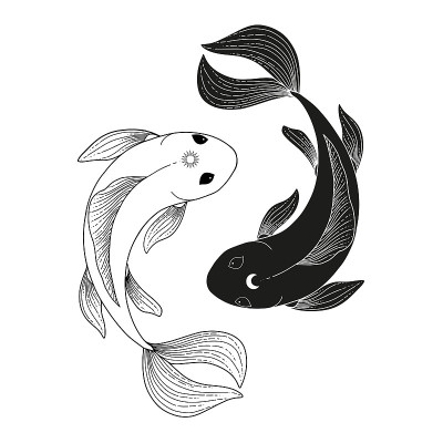 神秘的鱼标志矢量插图