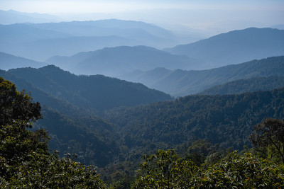 泰国南部，沙潘山谷的群山中有稻田和森林