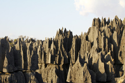 Tsingy de Bemaraha报道。Mahajanga。马达加斯加