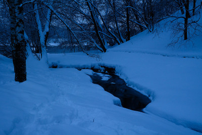 降雪后，俄罗斯莫斯科Kolomenskoye庄园的混交林