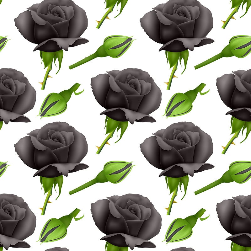 Seamless, endless pattern with realistic roses, Se