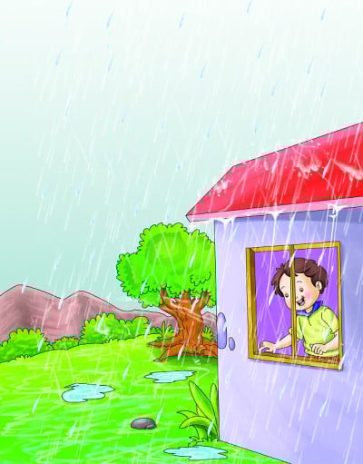 雨落在绿草上