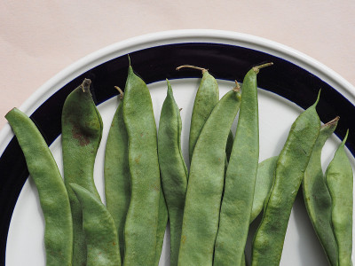mangetout 豌豆豆类蔬菜