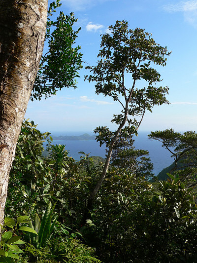 岬