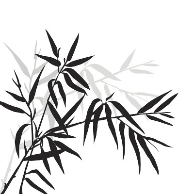 竹叶背景。竹子的顶端。