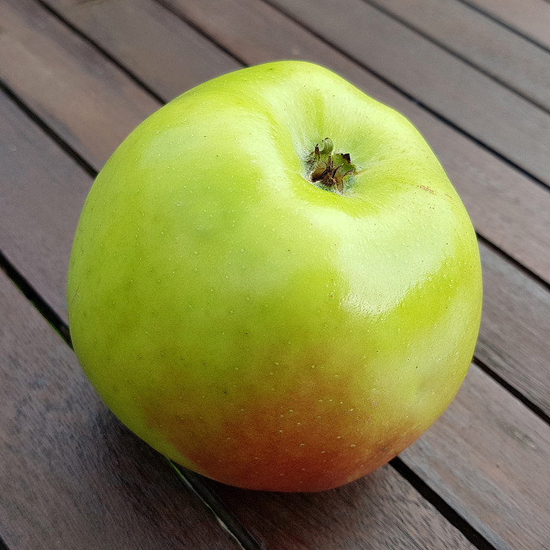 兰德斯伯格·雷纳特，苹果，苹果，管家