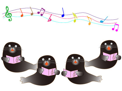 音乐seafriends