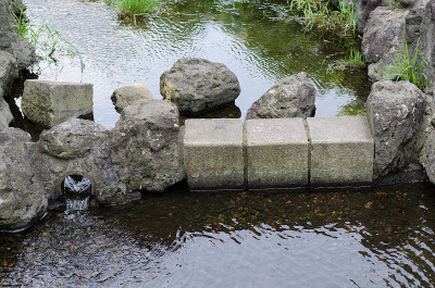 小川的景观