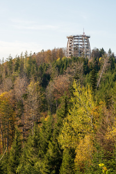 新木制的“Baumwipfelpfad”观察塔的外景，位于Grünberg附近的Gmunden, O