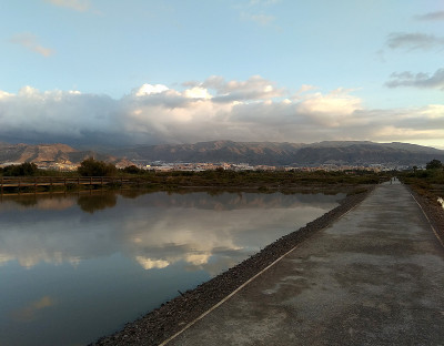 沼泽