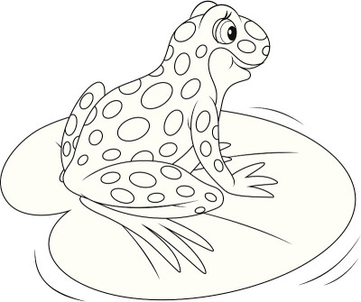 青蛙