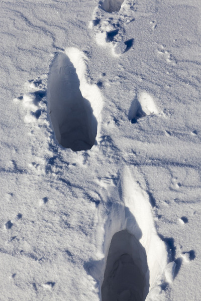 冬天雪积起来