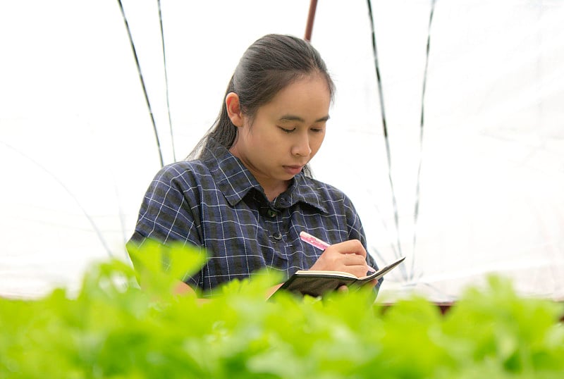 农民亚洲妇女与笔记本检查种植香菜幼苗在农场和疾病在温室。