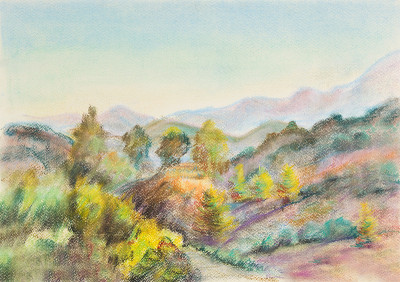 全景