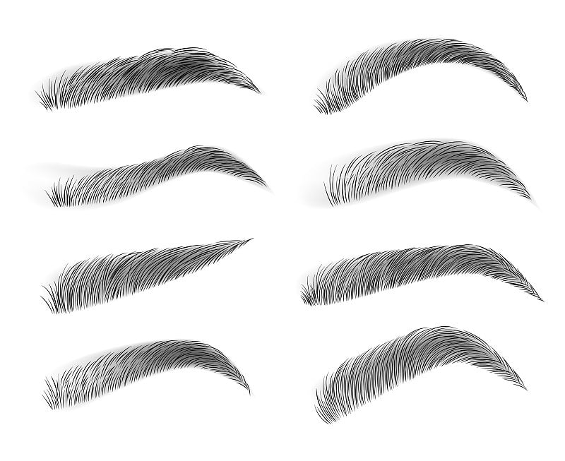 Eyebrows isolated on white background. Black eyebr