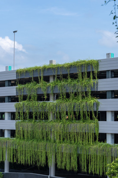 现代停车场车库建筑覆盖植物，外部装饰。