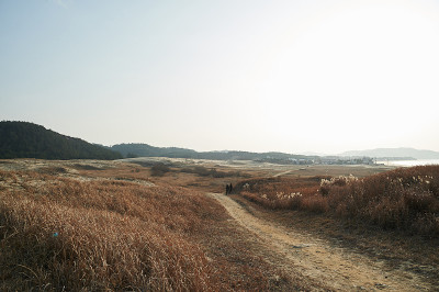 新都里海岸沙丘
