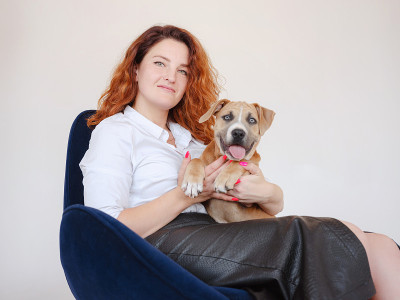 一名女子带着一只美国斯塔福德郡梗犬在摄影棚拍照