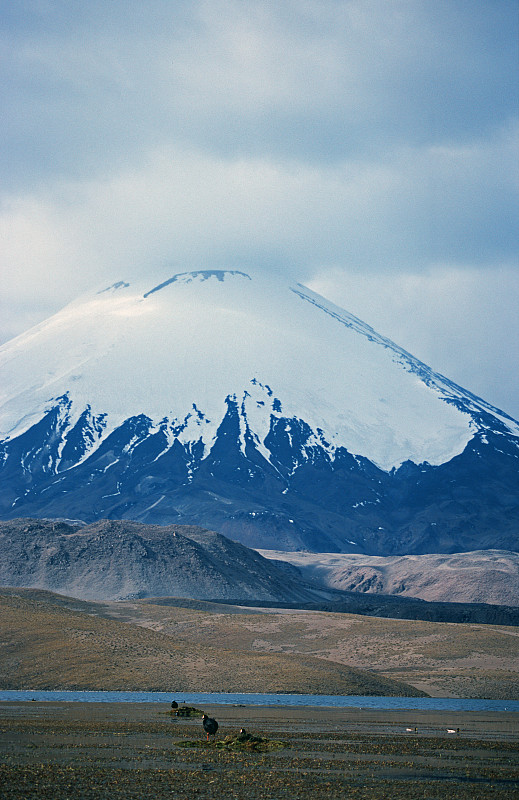 帕里纳科塔火山，湖里有鸟