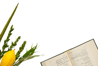 犹太人住棚节。传统符号(四种):Etrog, lulav, hadas, arava