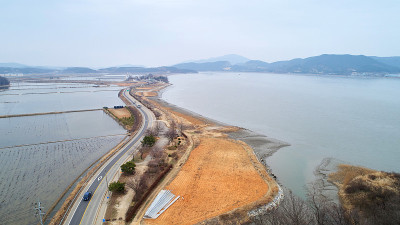 江和道的风景