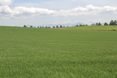 日本北海道美丽的景色