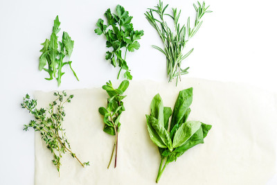 白色背景上的新鲜烹饪香草:迷迭香，百里香，薄荷，芝麻菜，罗勒和欧芹小束