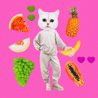 时尚小猫成为素食主义者。水果的爱人。概念上的最小的拼贴画。健康的植物性食物