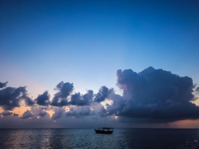 海羽轴