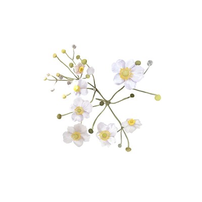 白色花与黄色的中心。一丛白色的花水彩