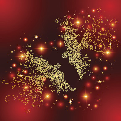 Doodle birds with glitters