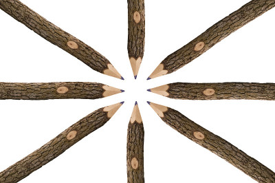 分别从树枝上画的铅笔