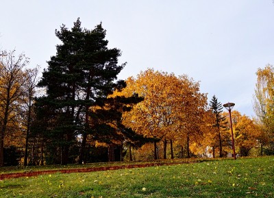 观景Châtel-Guyon公共公园