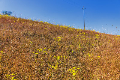 巴西利卡塔Val D'Agri的夏季乡村景观和鲜花田