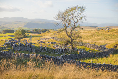 Ribblesdale,约克郡山谷