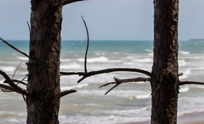 海边的风景