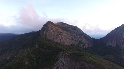 山在森林景观