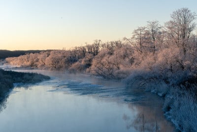 北海道钏路，树上的雾凇和霜烟。