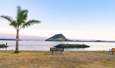 从硫磺角穿过陶兰加港的地平线上的地标芒格努伊山
