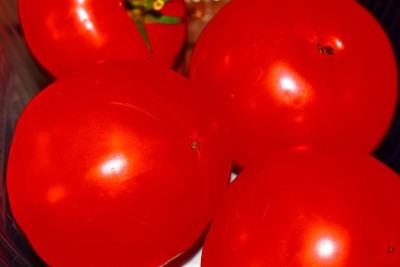 tomatos网络