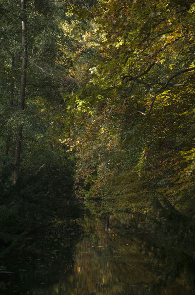 柏林Tiergarten