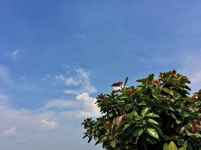 生活