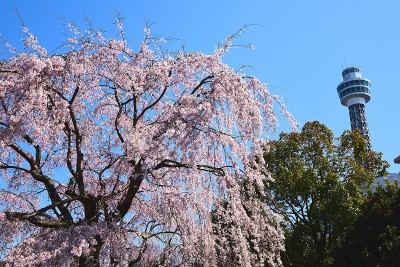 横滨