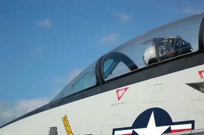 F-14树冠