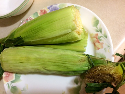 玉米棒煮熟了