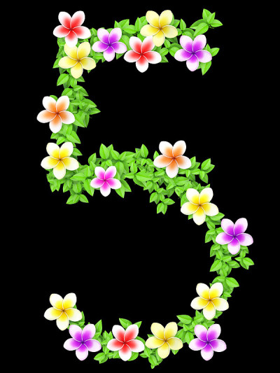 花常春藤字母表