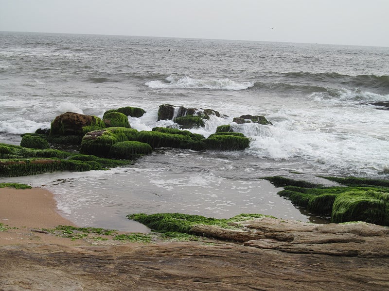 海岸与绿色岩石