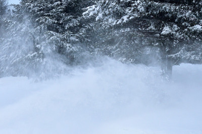 飞雪